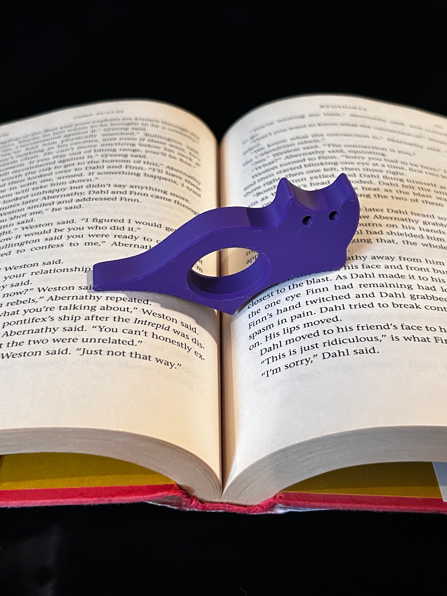 Cat Book rest