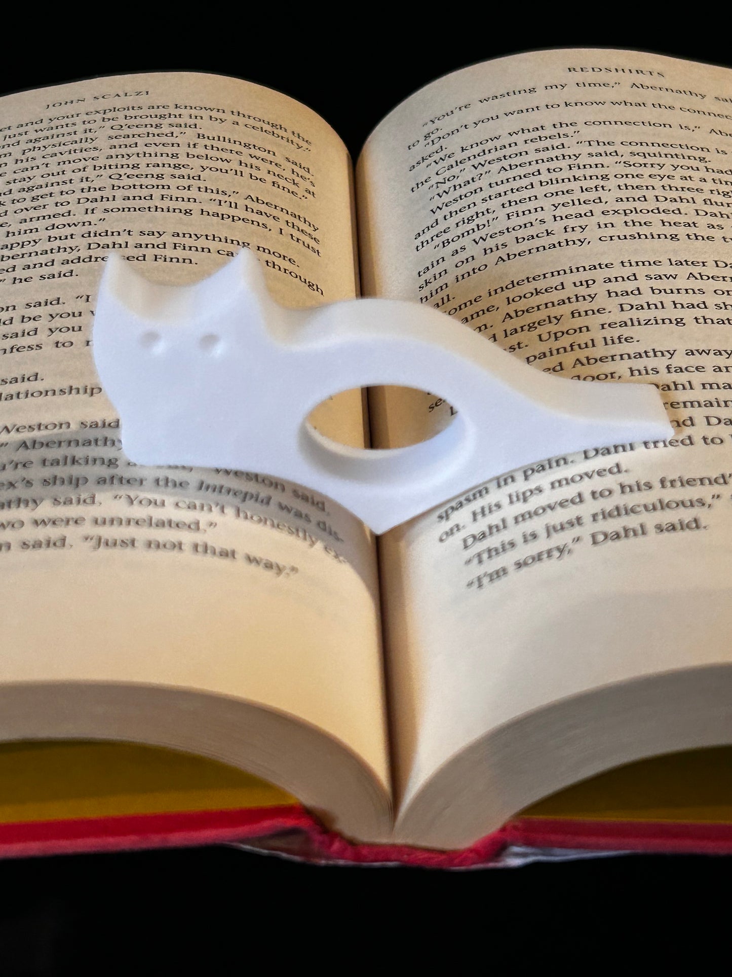 Cat Book rest