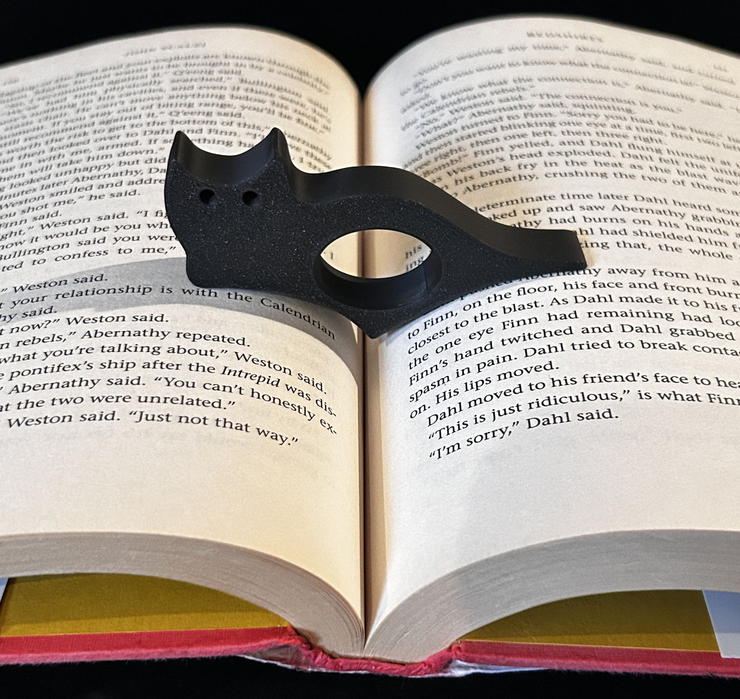 Cat Book rest